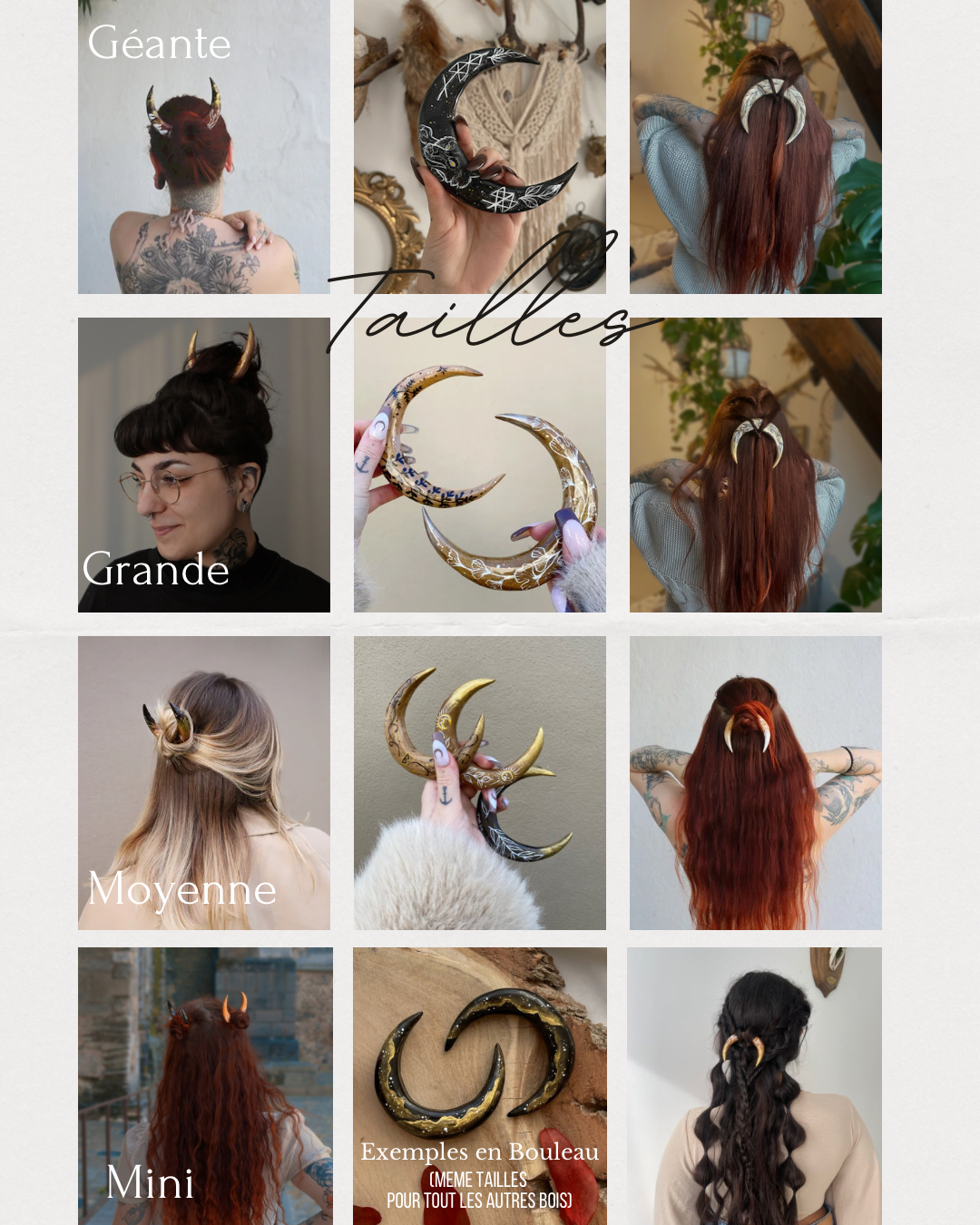 Terre Argenté ❄️