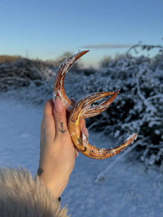 Renne des neigesâïžđŠ