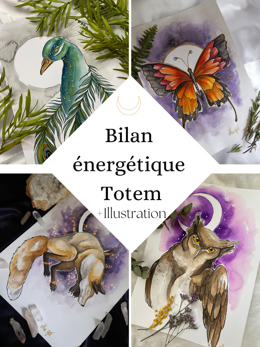 Totem energy balance + illustration option