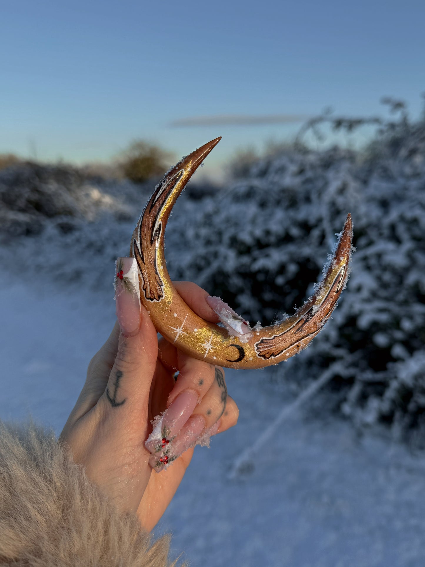 Renne des neiges❄️🦌