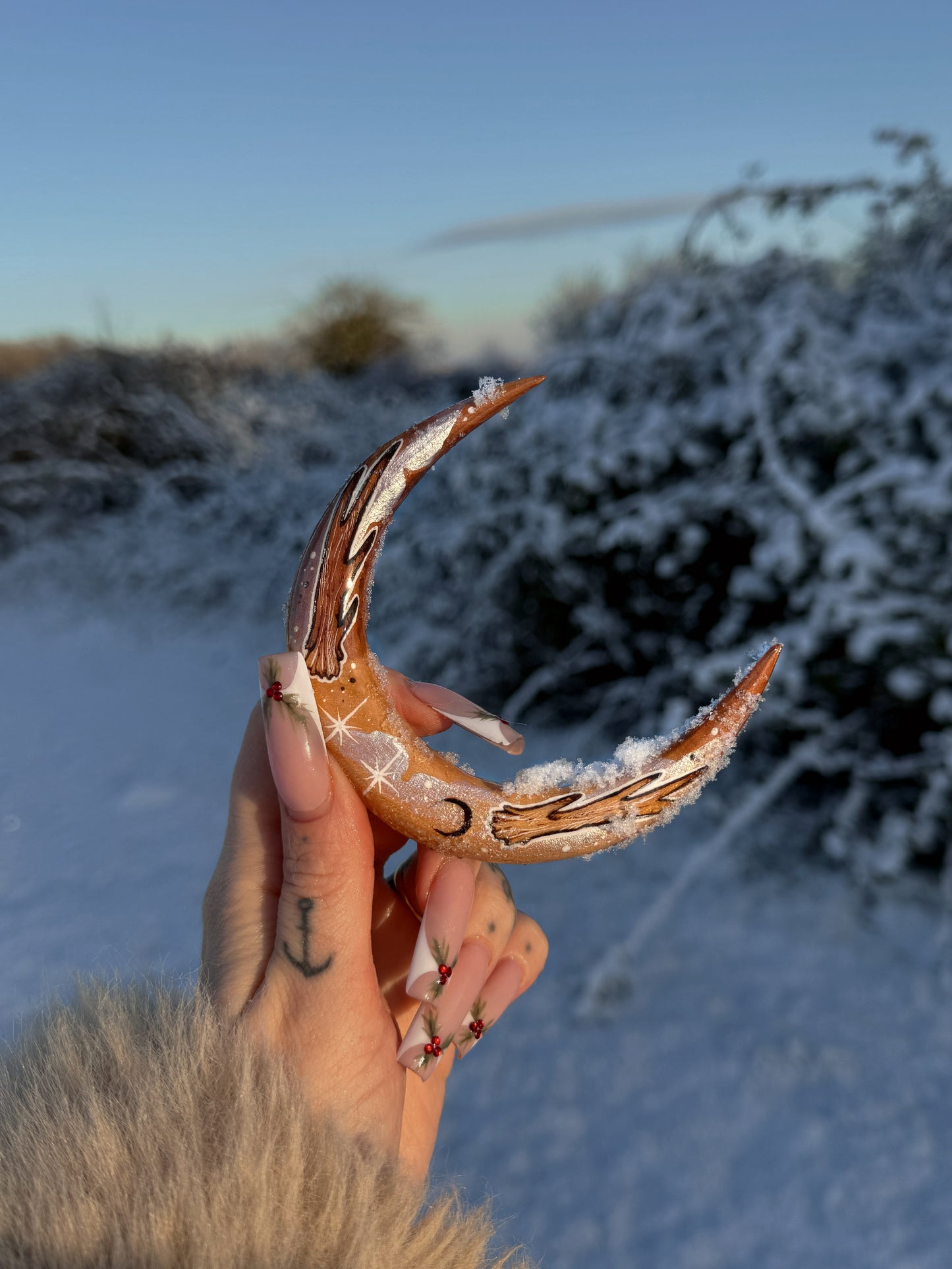 Renne des neiges❄️🦌