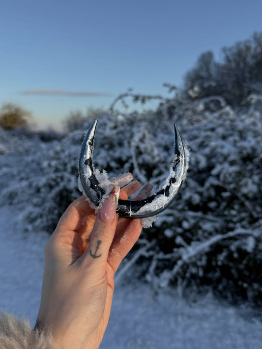 Terre Argenté ❄️