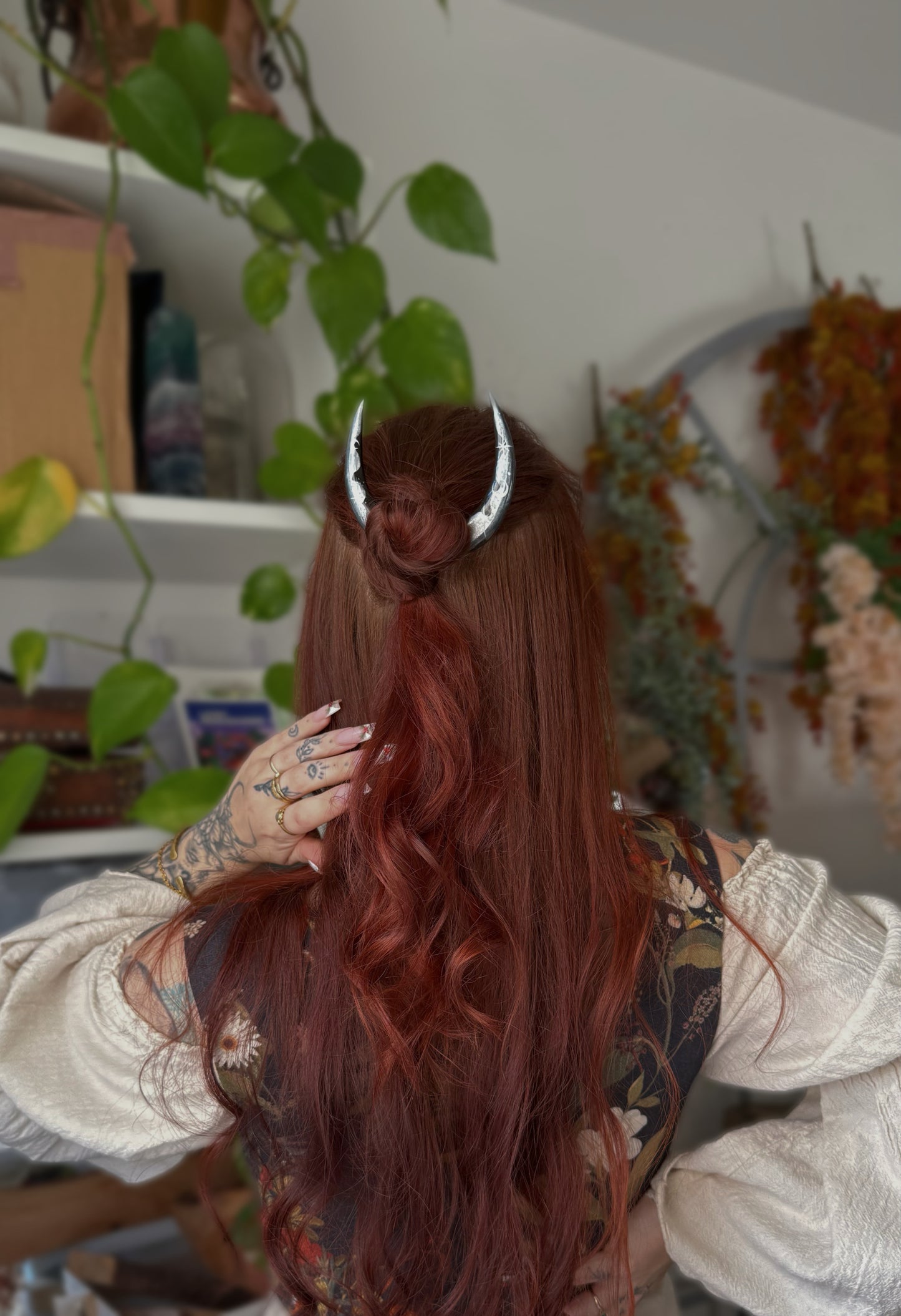 Terre Argenté ❄️