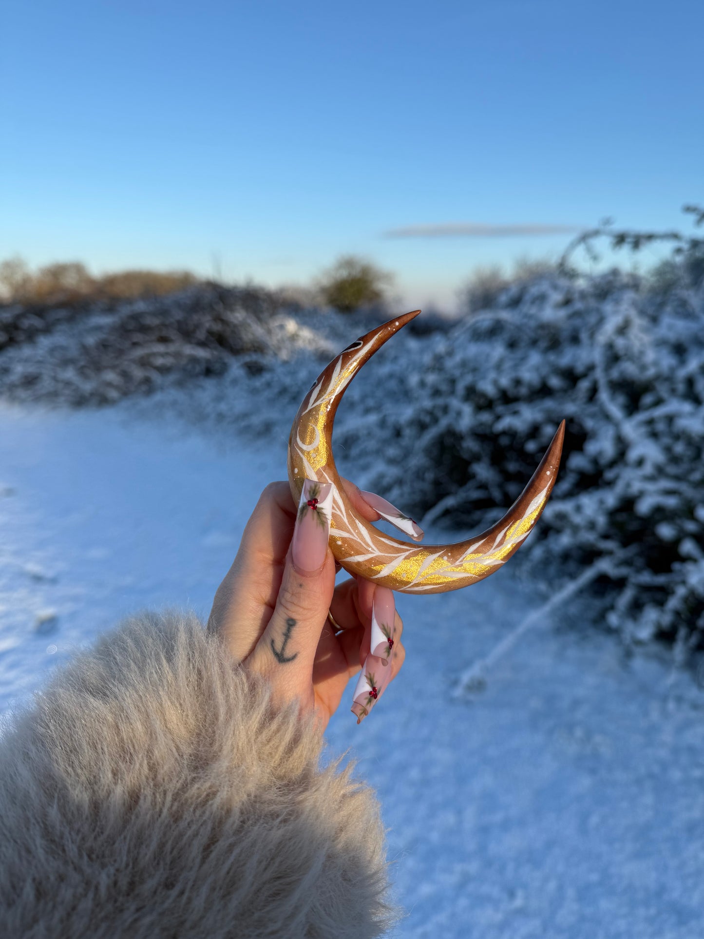 Renne des neiges❄️🦌