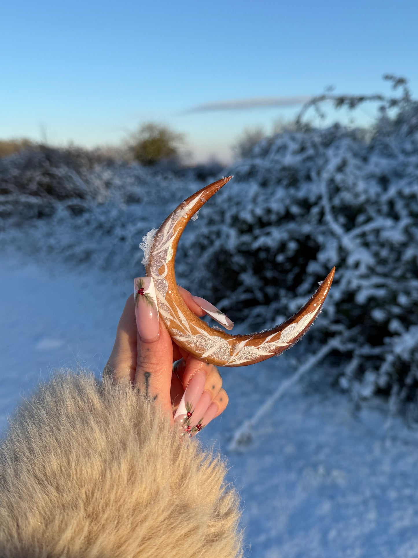 Renne des neiges❄️🦌